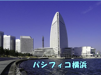 �p�V�t�B�R���l